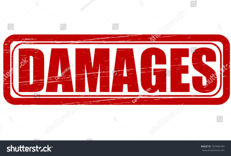 Damages:- Nominal damages and Punitive damages