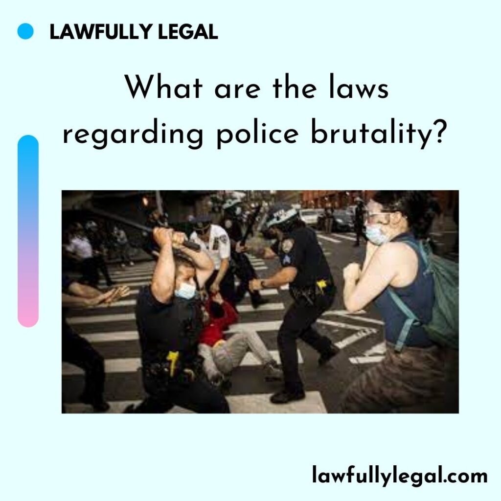 What are the laws regarding police brutality?