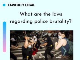 What are the laws regarding police brutality?