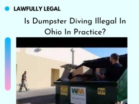 Is Dumpster Diving Illegal In Ohio In Practice?
