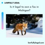 Is it legal to own a fox in Michigan?