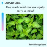How much weed can you legally carry in India?
