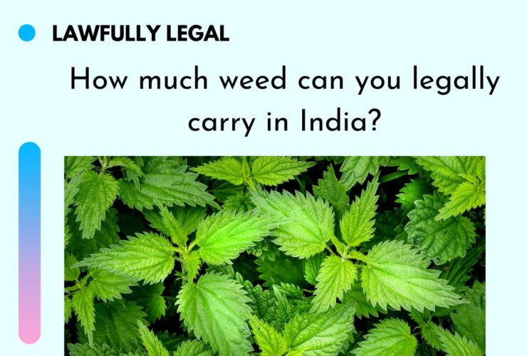 How much weed can you legally carry in India?