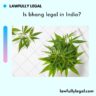 Is bhang legal in India?