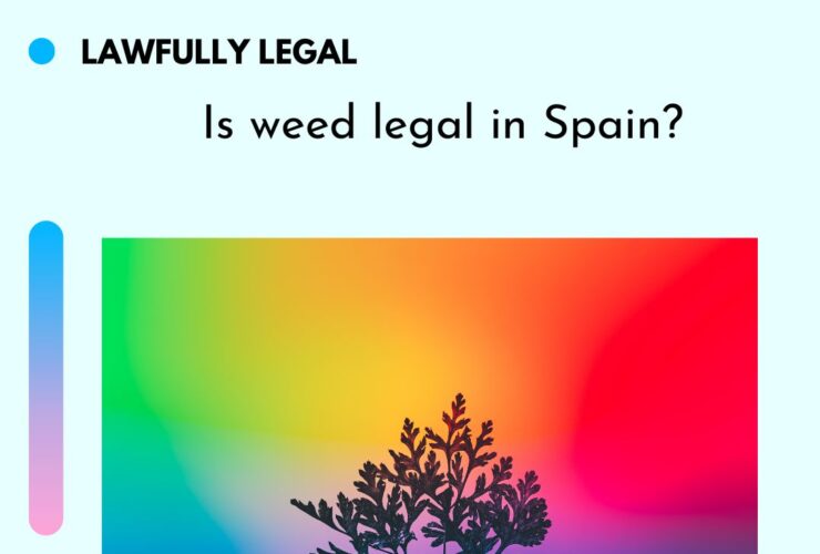 Is weed legal in Spain?