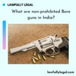 What are non prohibited Bore guns in India?