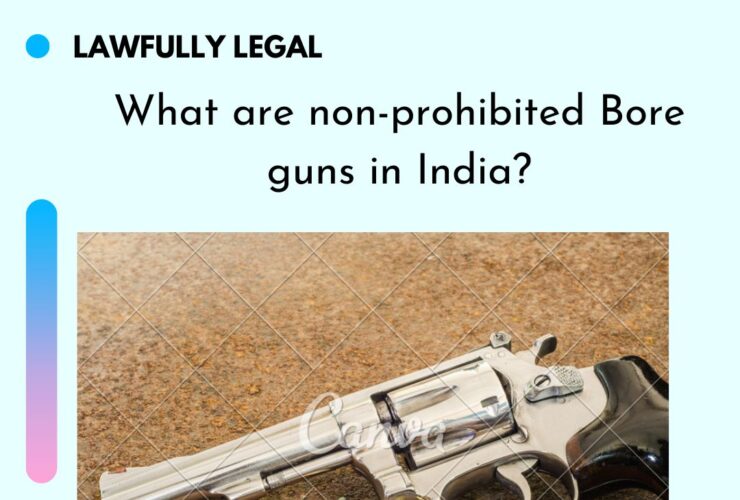 What are non prohibited Bore guns in India?